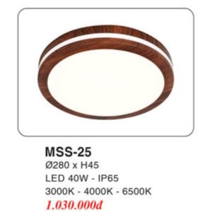 Đèn Mâm LED Ốp Trần EUROTO MSS-25