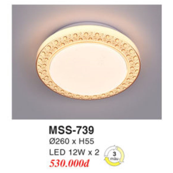 Đèn Mâm LED Ốp Trần EUROTO BT-739