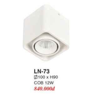 Đèn Mâm LED Ốp Trần EUROTO LN-73