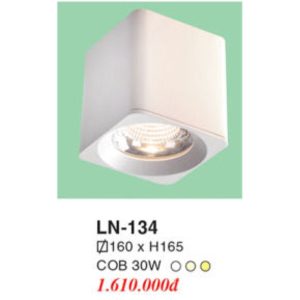Đèn Mâm LED Ốp Trần EUROTO LN-134