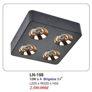 Đèn Mâm LED Ốp Trần EUROTO LN-198